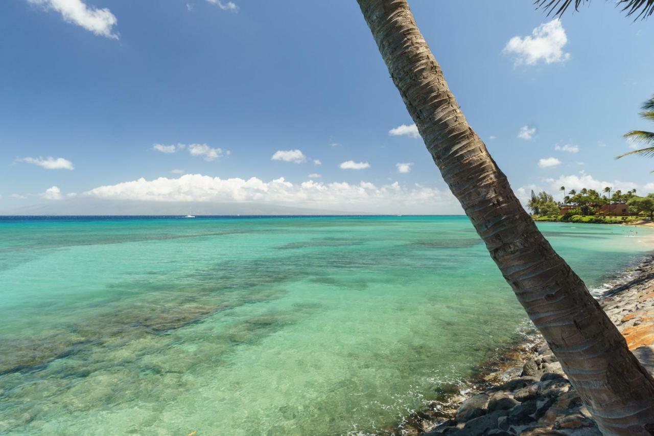 Hale Ono Loa 208 Appartement Napili-Honokowai Buitenkant foto